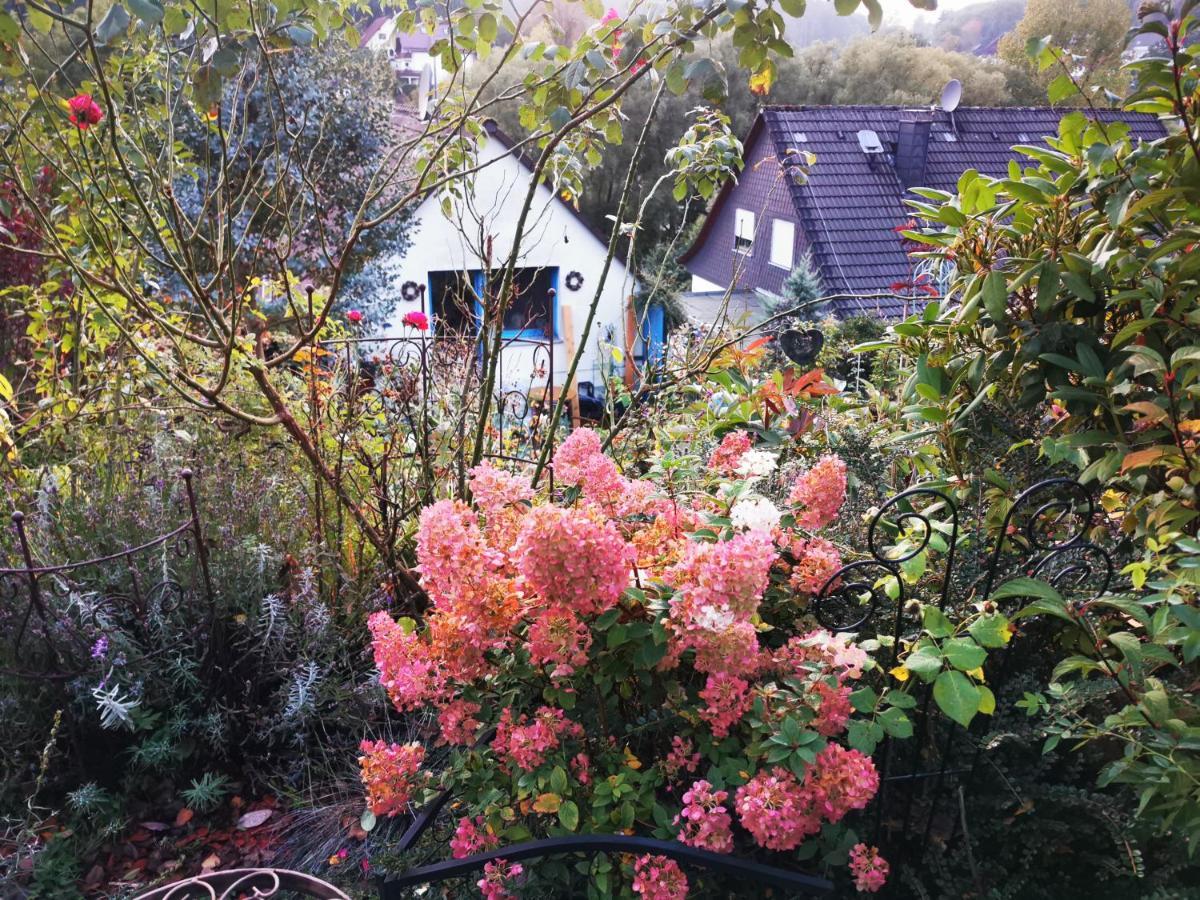 Ferienhaus Mit Riesen Garten, Drei Terrassen, Toller Aussicht Am Waldrand, Auch Als Monteur-Wohnung Hemer Zewnętrze zdjęcie